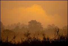 Early morning mist rising over the Maekok River, Chiang Mai. 