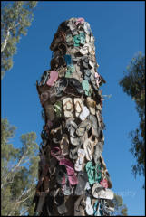 Tree of thongs in the Port of Echuca on the Murray River.