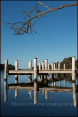 Banksia Peninsula on the Gippsland Lakes, Victoria, Australia.