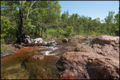 Buley Rockhole in Litchfield National Park is a series of waterfalls and rock-holes. It is a very popular swimming spot