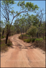 A dirt track through the bush in Litchfield National Park.