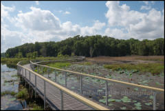 Fogg Dam Conservation Reserve on the Adelaide River floodplain. 