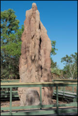 A Cathedral Termite Mound in Litchfield National Park.