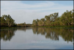 Corroboree Billabong is part of the Mary River Wetlands.