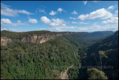 The Yarrunga Valley in Morton National Park