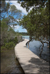 The Merimbula Boardwalk skirts the northern shores of the Top Lake section of Merimbula Lake.