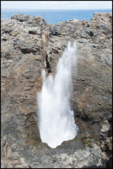 The Kiama Blowhole at Blowhole Point is Kiama's main tourist attraction.