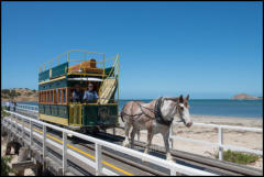 The Victor Harbor Horse Drawn Tram, which commenced passenger service in 1894, travels across the 630 metre causeway to Granite Island using Clydesdale horses. It is the only horse-drawn tramway in Australia