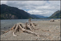 Buttle Lake on Vancouver Island. 