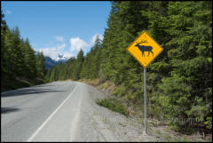 Strathcona Provincial Park, Vancouver Island.