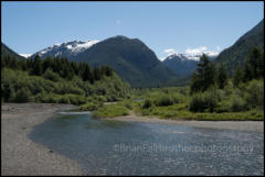 Thelwood Creek flowing into Buttle Lake on Vancouver Island.