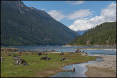 Thelwood Creek flowing into Buttle Lake on Vancouver Island.