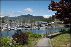 Ucluelet Harbour on Vancouver Island.