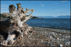 Whiffen Spit is a naturally occurring sandbar at the entrance to Sooke Harbour on Vancouver Island.