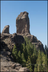 Roque Nublo, also known as Cloud Rock, was sacred to the Guanches and is at the centre of Gran Canaria.