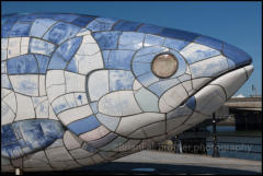 The Salmon of Knowledge, (The Big Fish), is cladded with ceramic tiles displaying text and images about the history of Belfast, Northern Ireland.