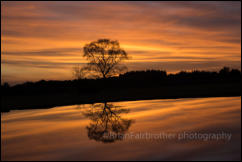 Sunset at Green Pond on Fritham Plain in the New Forest, Hampshire, UK.