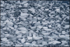 Surface ice in Hope Bay on the Trinity Peninsula, Antarctica.