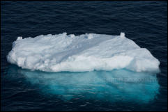 Hope Bay on the Trinity Peninsula, Antarctica.