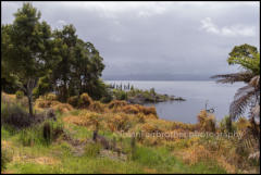 Sarah Island in Macquarie Harbour is the site of Tasmania's oldest and most remote convict settlement. Strahan, Tasmania, Australia.