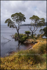 Sarah Island in Macquarie Harbour is the site of Tasmania's oldest and most remote convict settlement. Strahan, Tasmania, Australia.