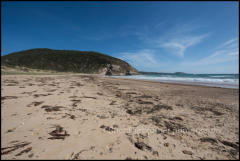 Darby Beach on Wilsons Promontory National Park, Victoria, Australia