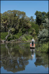 The Royal botanic gardens, Melbourne, Victoria, Australia